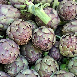 Artichokes for joinindaily with +Johnny Wills theme  "Vegetables"