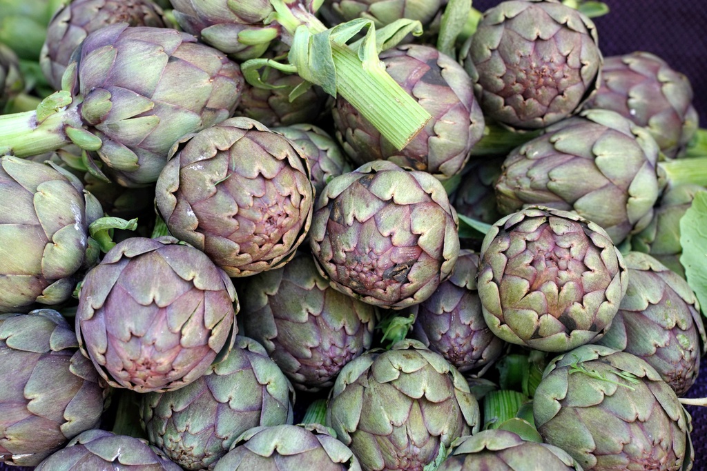 Artichokes for joinindaily with +Johnny Wills theme  "Vegetables"