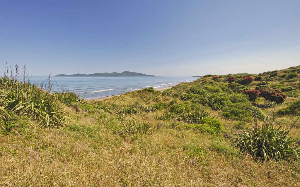 Kapiti from QEII Park