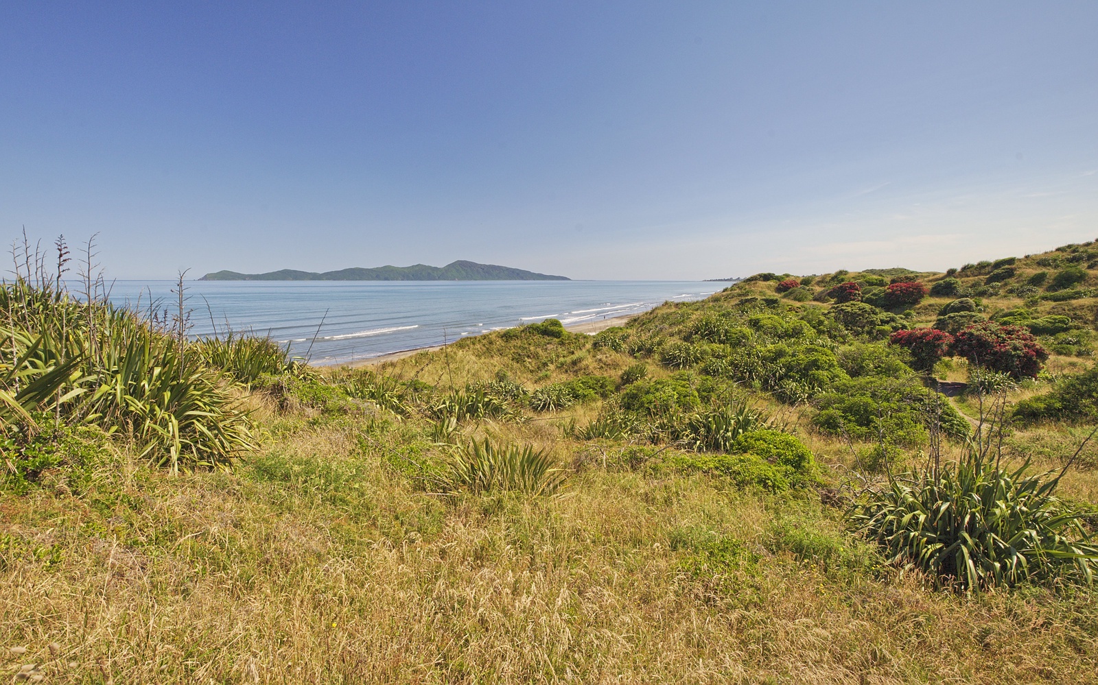 Kapiti from QEII Park
