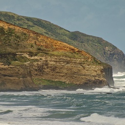 Muriwai Coast