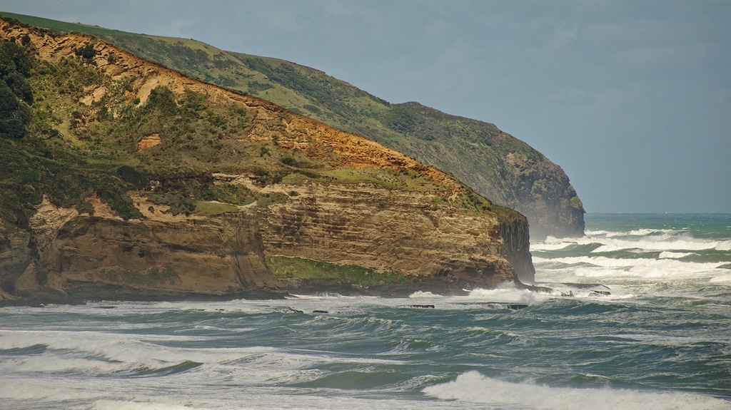 Muriwai Coast
