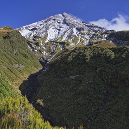 Taranaki