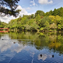 Pukekura Park