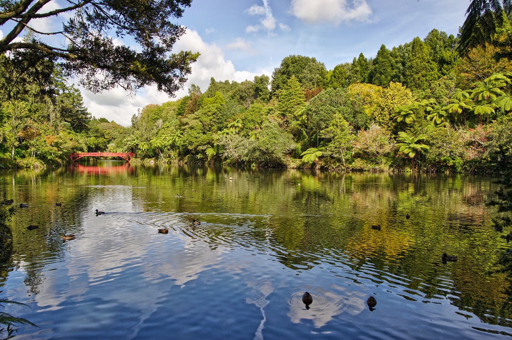Pukekura Park