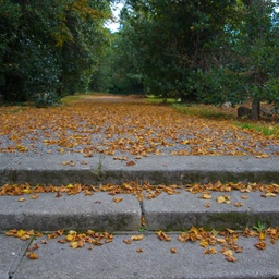 Autumn in Dublin