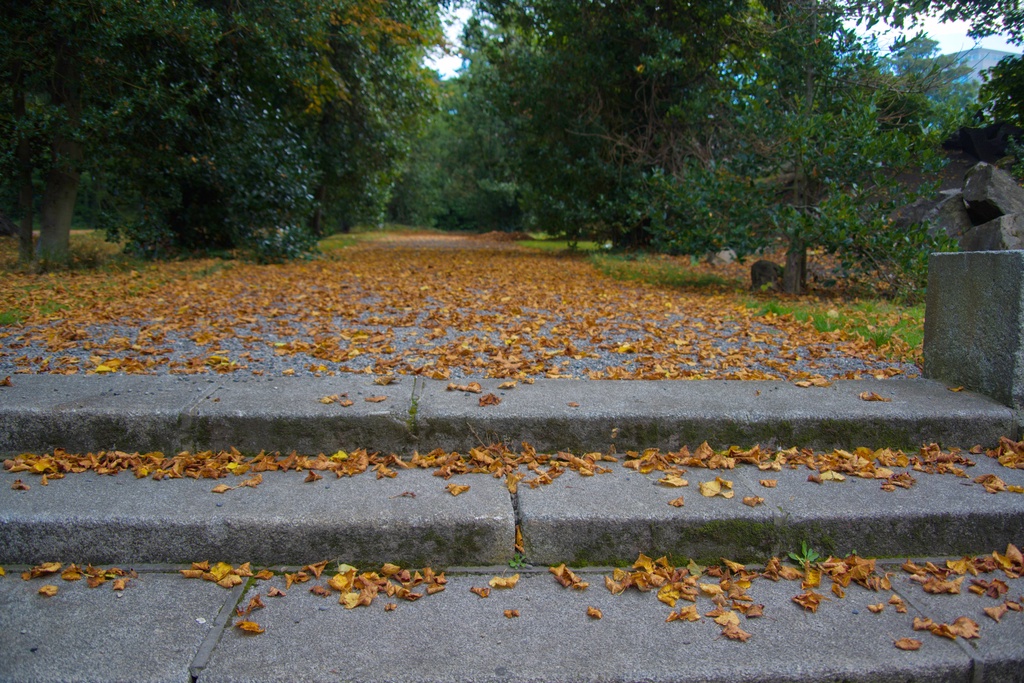 Autumn in Dublin