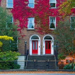 Doors at Dusk