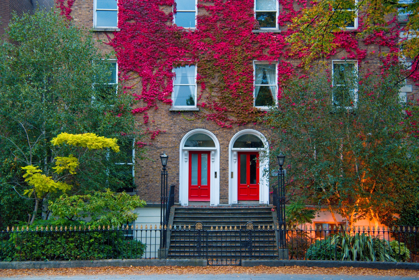 Doors at Dusk