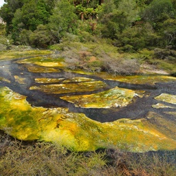 On the way home from Rotorua at the weekend we stopped at my favourite thermal area: Waimangu