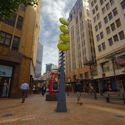 Lovely day yesterday in Wellington, as I was arranging for things for my new premises for Morphoss