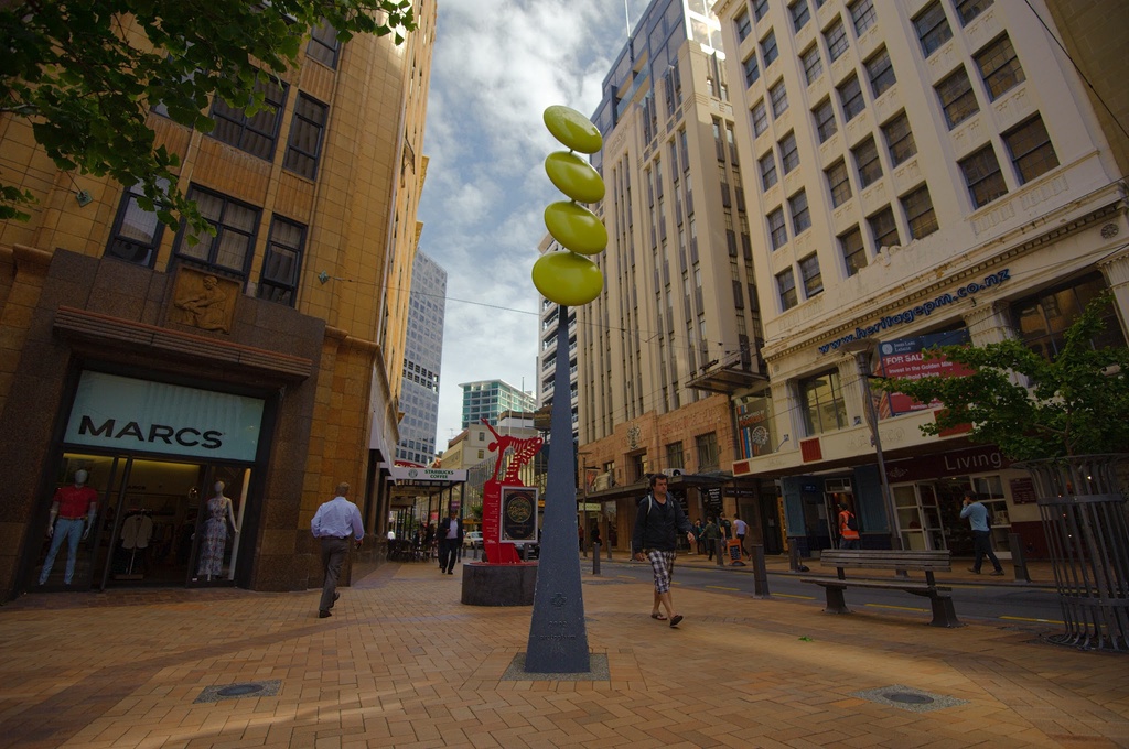 Lovely day yesterday in Wellington, as I was arranging for things for my new premises for Morphoss