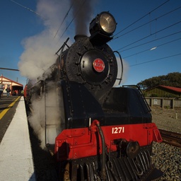 Paekakariki Steam