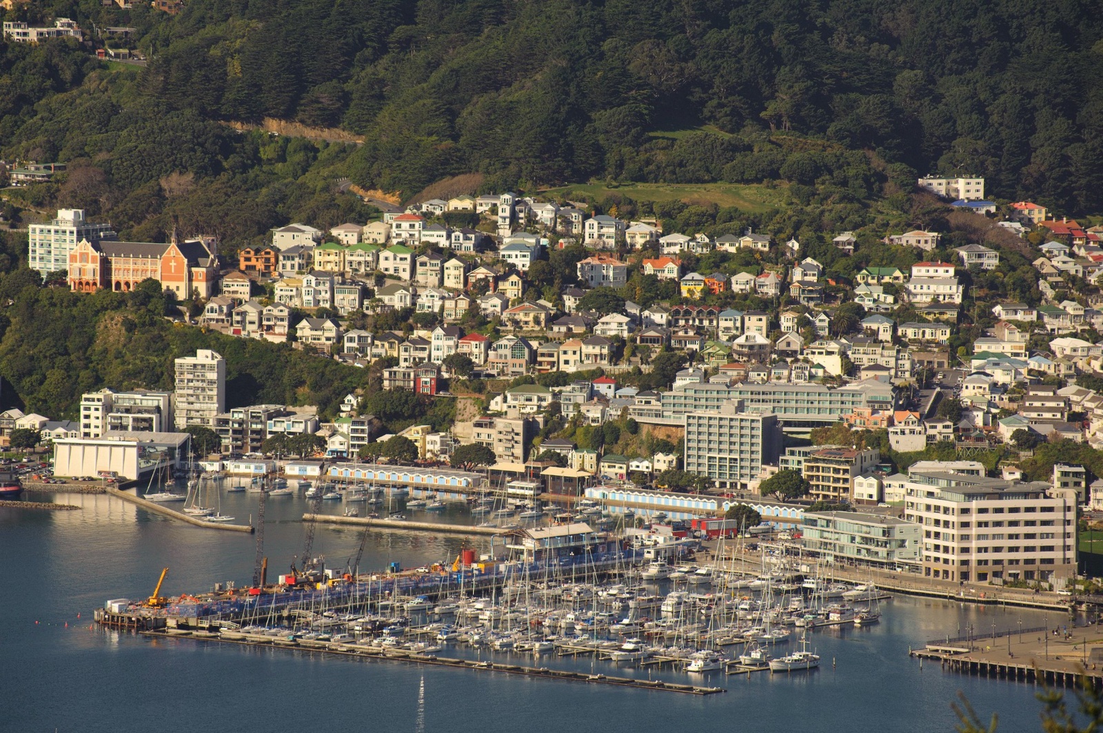 You can't beat Wellington on a good day :-)