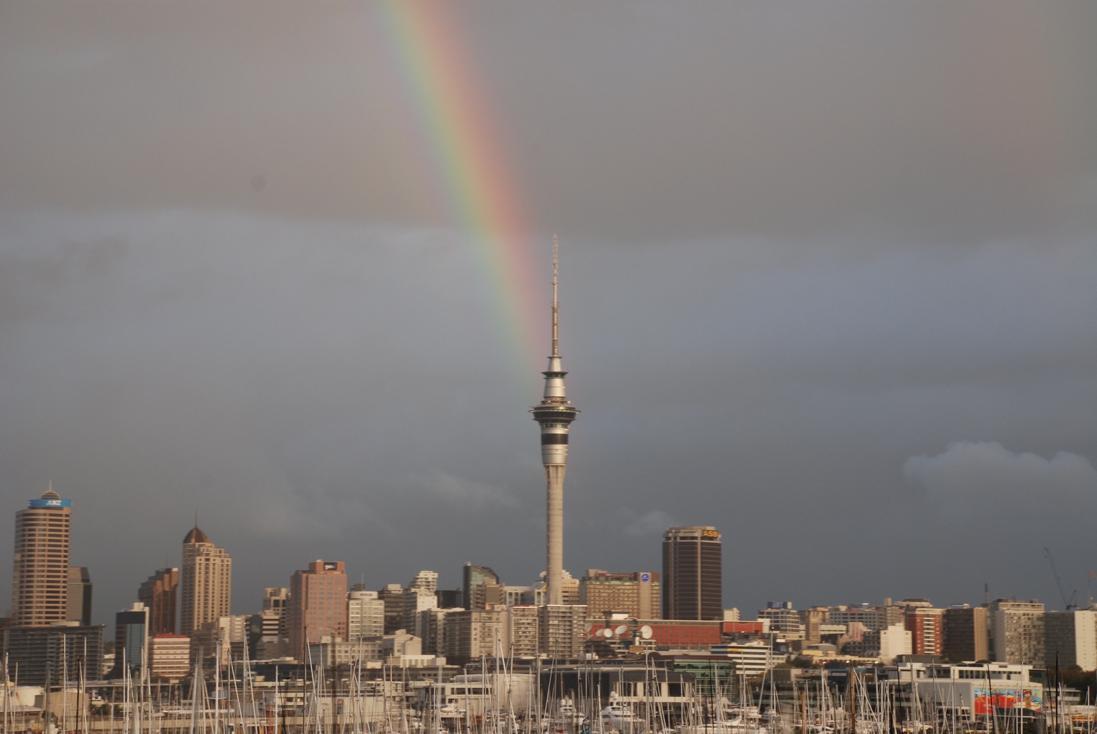 Auckland Sky Tower with Rainbow