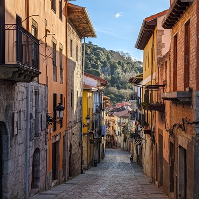 A narrow cobblestone street