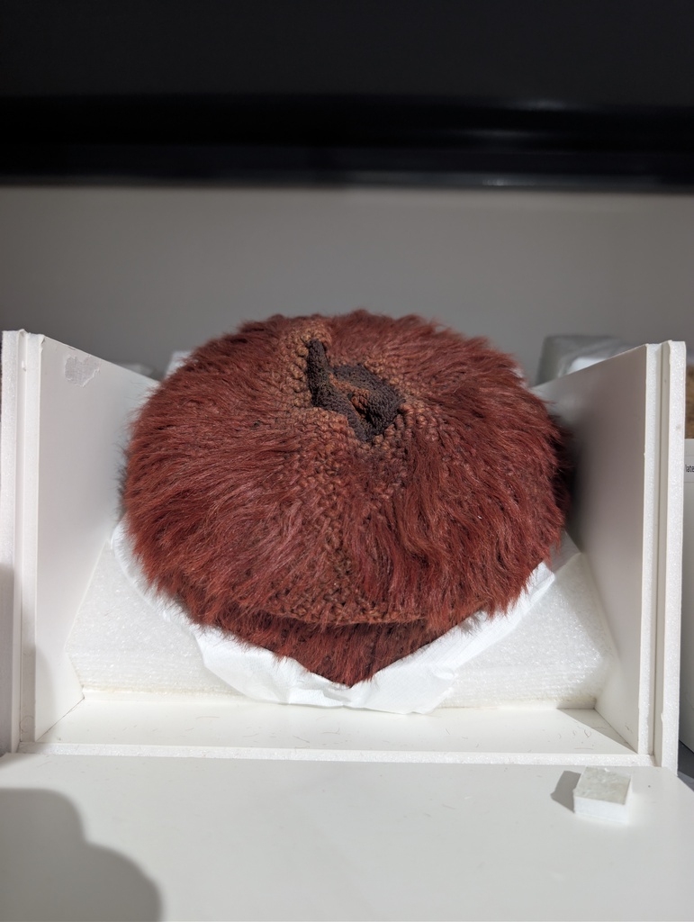 A reddish brown furry lablet.ck